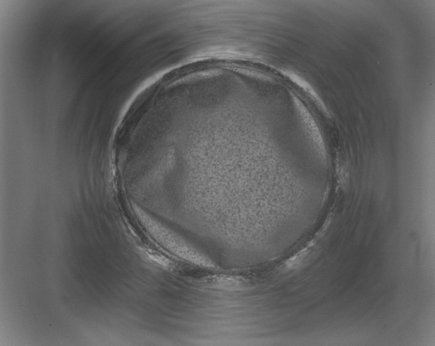 X0000082941070200702152208