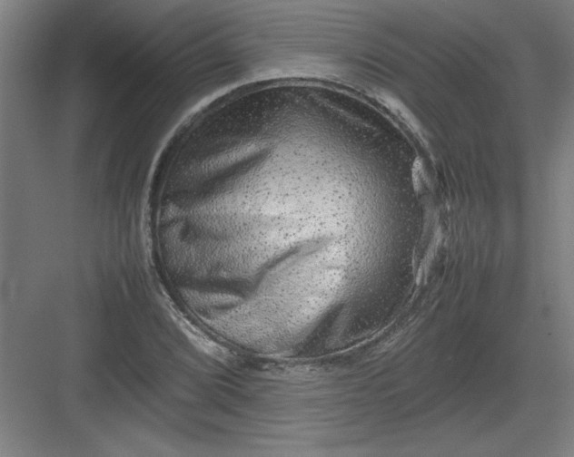 X0000082941072200702152208