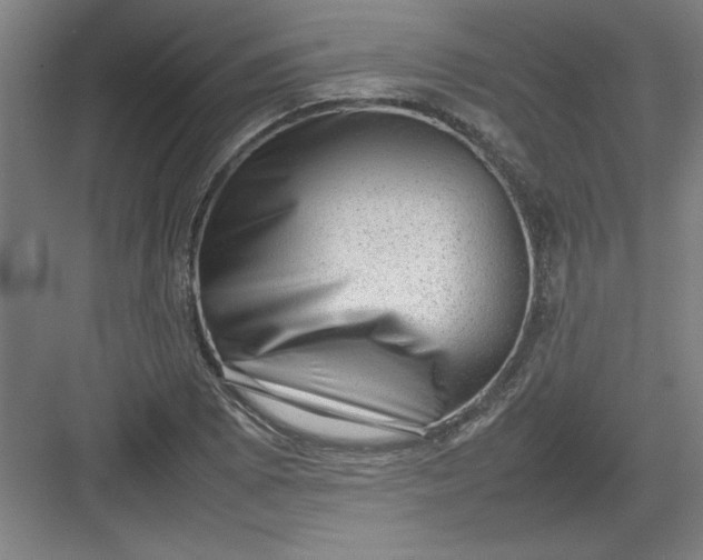 X0000082941073200702152208