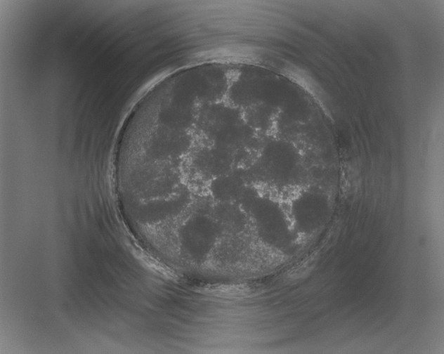 X0000082941074200702152208