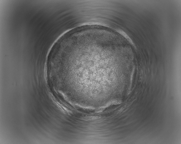 X0000082941076200702152208