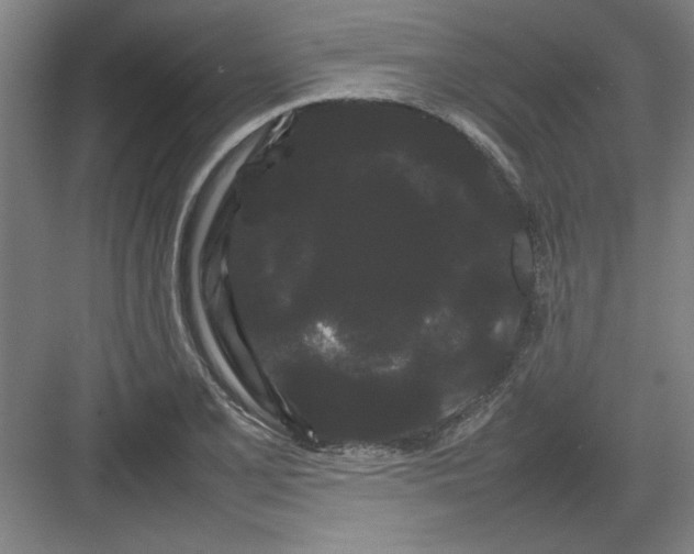 X0000082941077200702152208