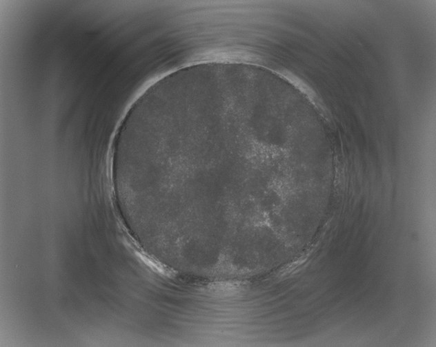 X0000082941078200702152208