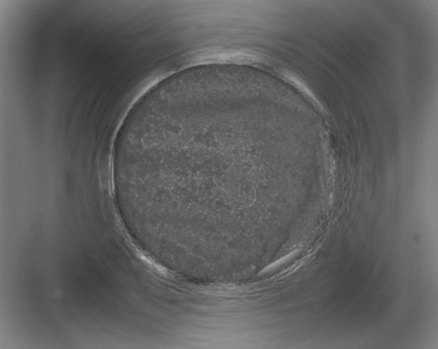 X0000082941079200702152208