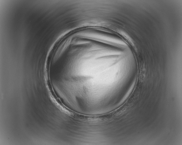 X0000082941080200702152208