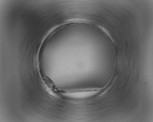 X0000082941082200702152208