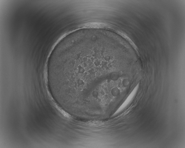 X0000082941083200702152208