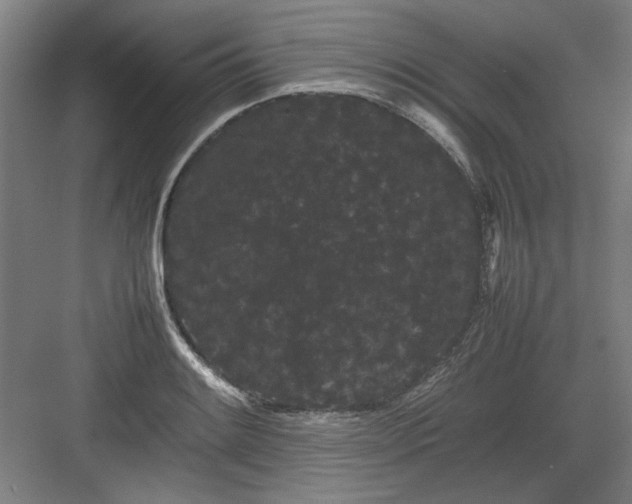 X0000082941084200702152208