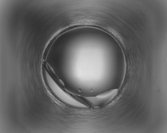 X0000082941085200702152208