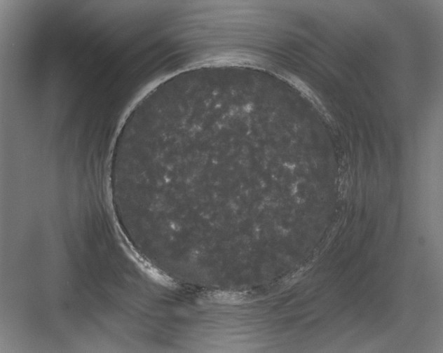 X0000082941086200702152208