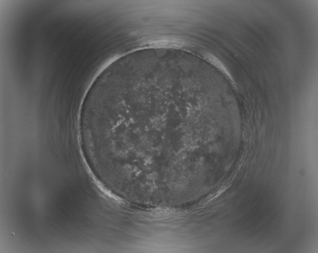 X0000082941087200702152208