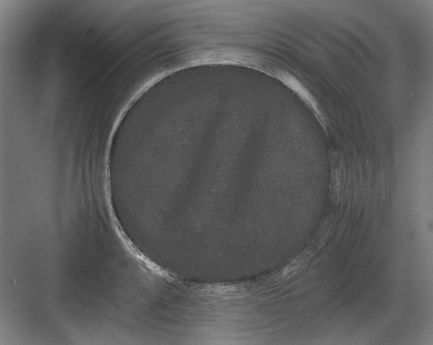 X0000082941088200702152208