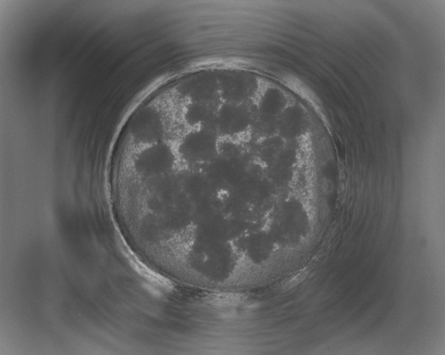 X0000082941090200702152207