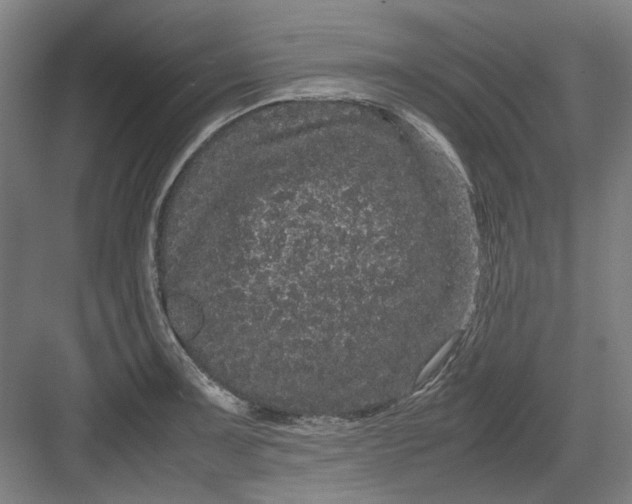 X0000082941091200702152207