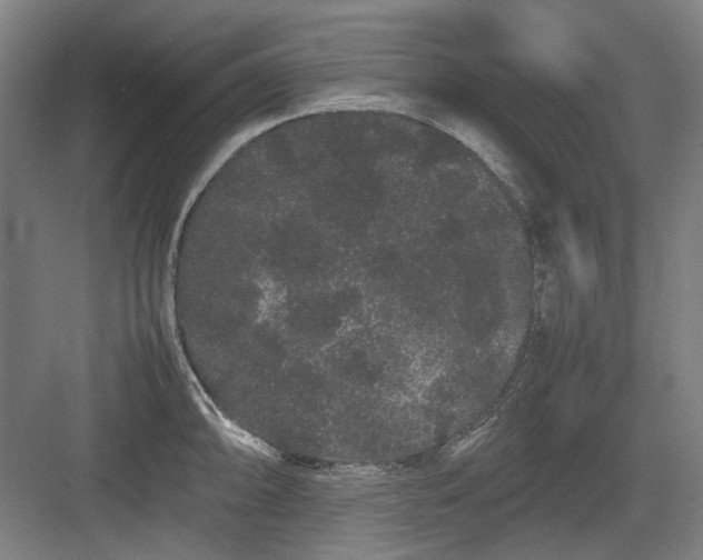 X0000082941094200702152207