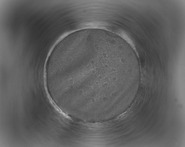 X0000082941096200702152207