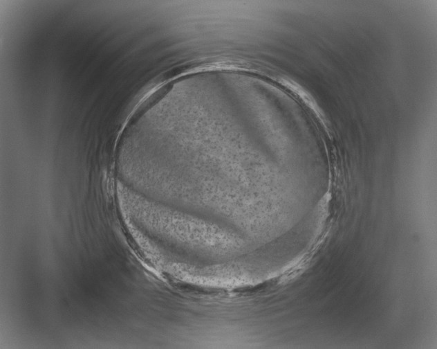 X0000082941097200702152207