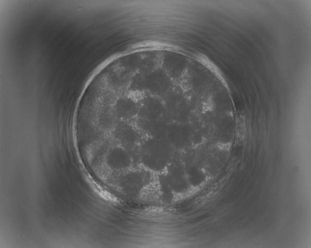 X0000082941098200702152207