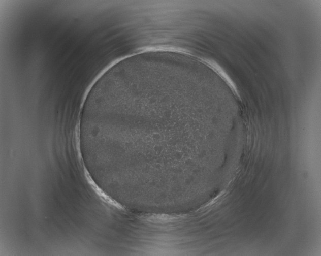 X0000082941100200702152207