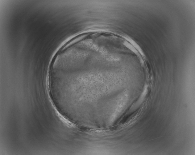 X0000082941101200702152207