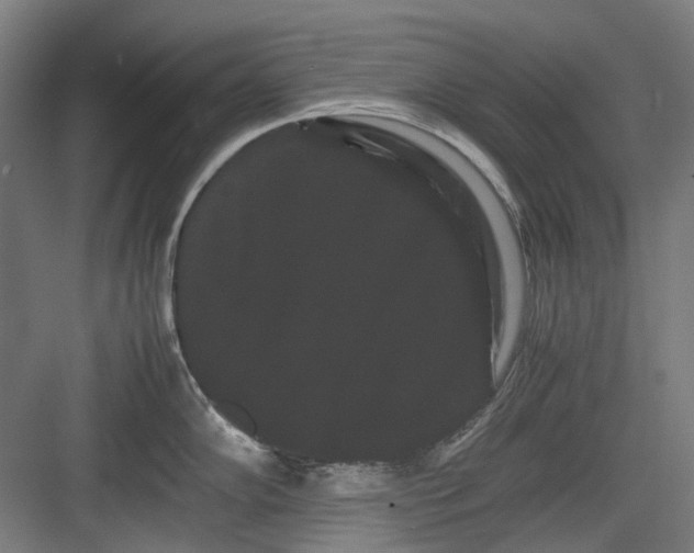 X0000082941102200702152207