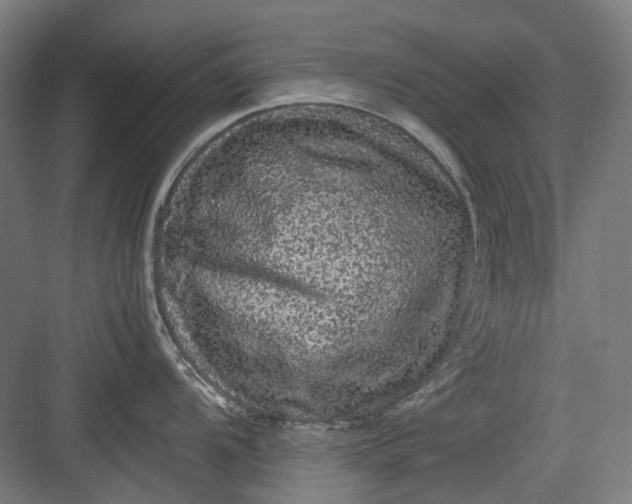 X0000082941104200702152207