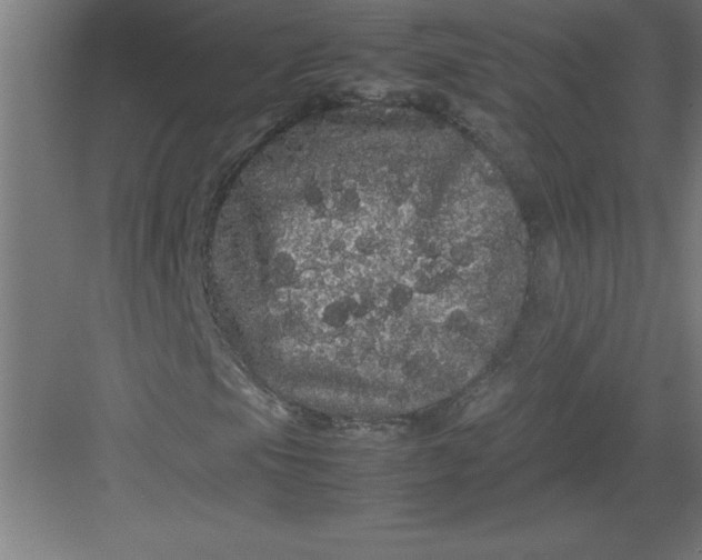 X0000082941105200702152206