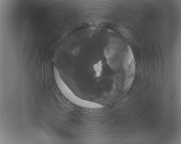 X0000082941106200702152206