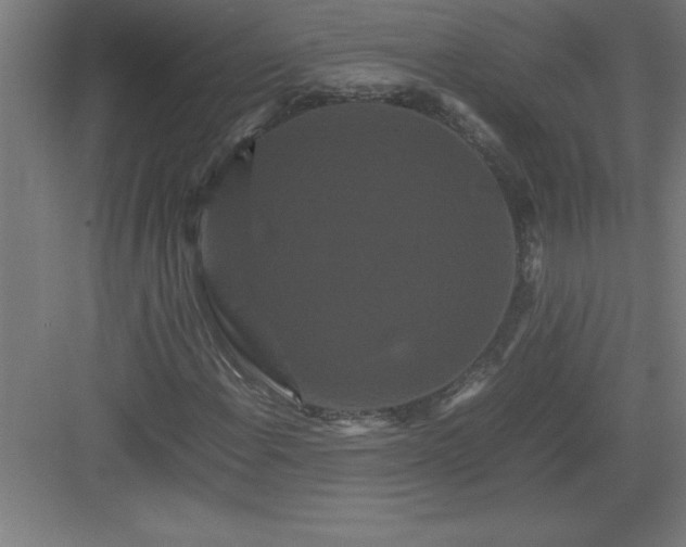 X0000082941108200702152206