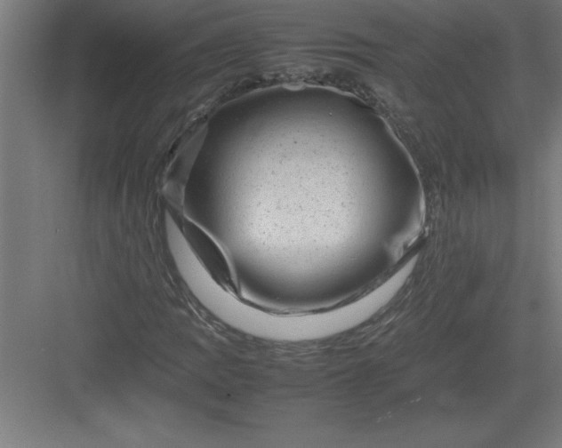 X0000082941109200702152207