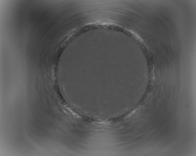 X0000082941110200702152207