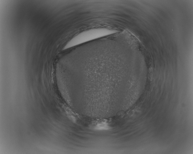 X0000082941111200702152207