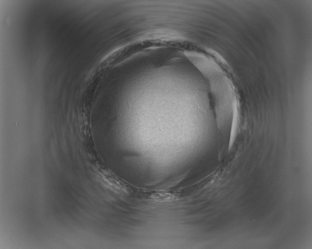 X0000082941112200702152207