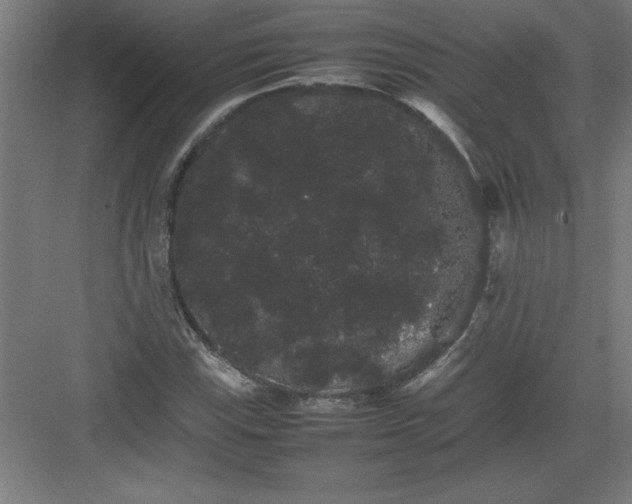 X0000082941115200702152207