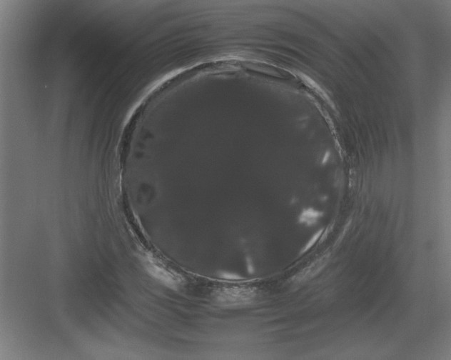 X0000082941117200702152207