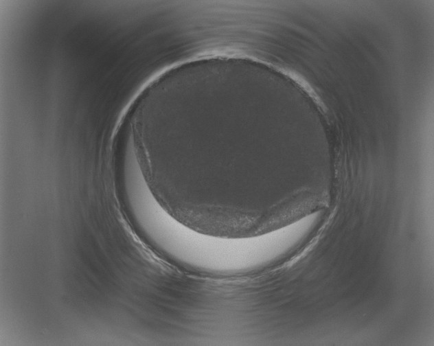 X0000082941118200702152207