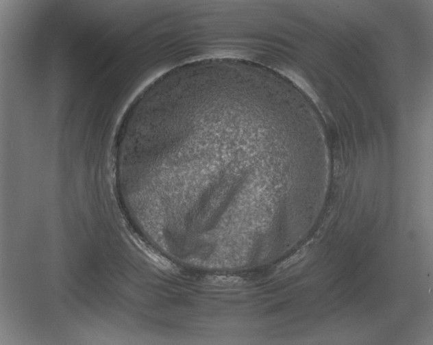 X0000082941119200702152207