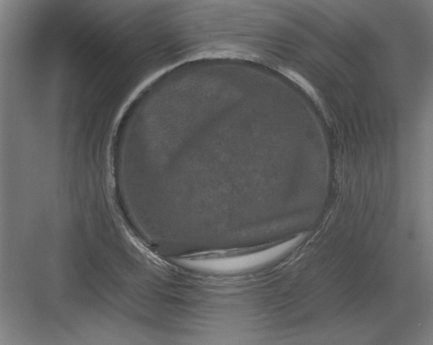 X0000082941120200702152207