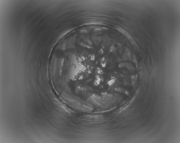 X0000082941121200702152207