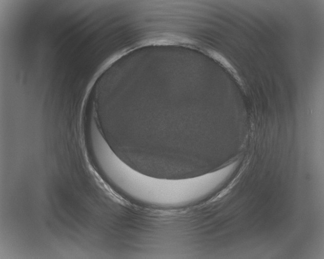 X0000082941122200702152207