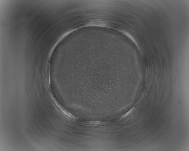 X0000082941123200702152207