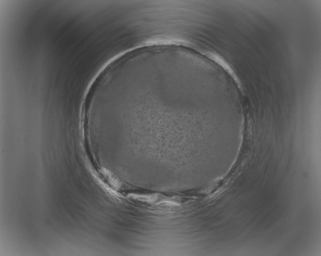 X0000082941124200702152207