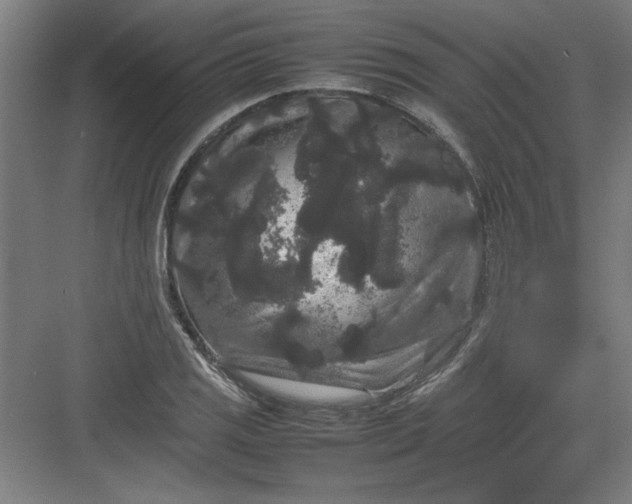 X0000082941125200702152207