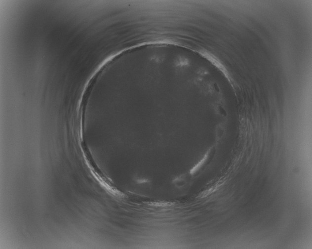 X0000082941127200702152207