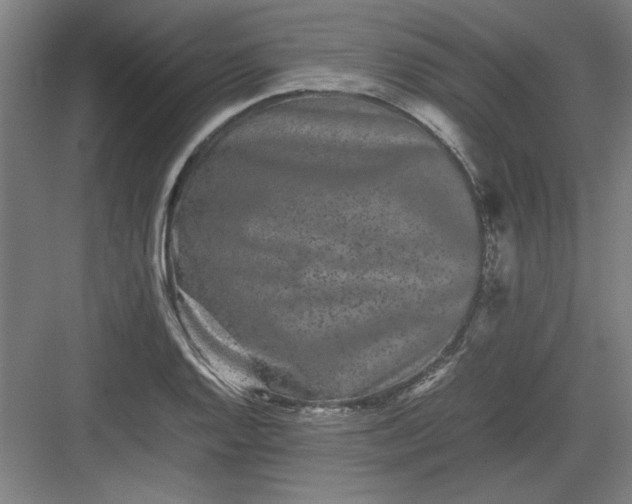 X0000082941128200702152207