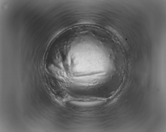 X0000082941129200702152207