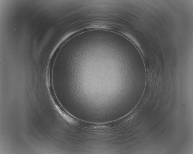 X0000082941131200702152207