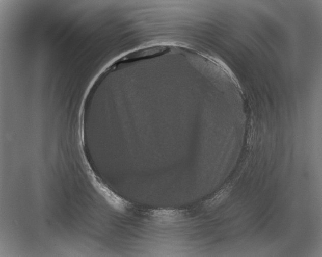 X0000082941132200702152207