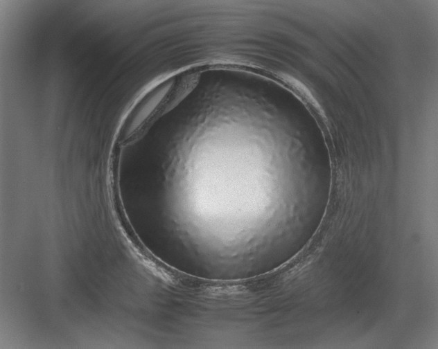 X0000082941133200702152207