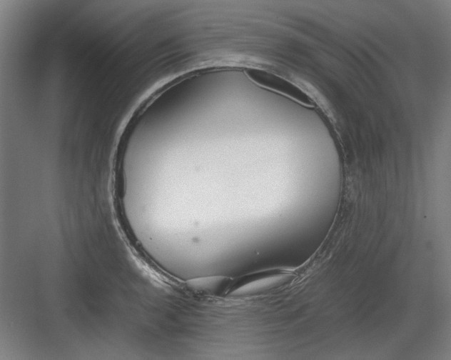 X0000082941136200702152207